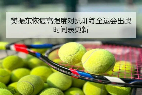 樊振东恢复高强度对抗训练全运会出战时间表更新